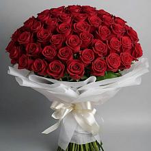 Букет 101 Красная роза Блэк Мэджик в Шацке