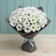 Букет цветов из:  Хризантемы в Шацке