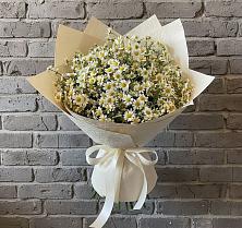 Букет цветов из:  Ромашки в Шацке