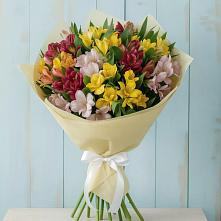 Букет цветов из:  Альстромерии в Шацке