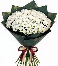 Букет цветов из:  Хризантемы #REPLACE_PRED# Шацке