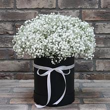 Цветочная композиция из Гипсофила в шляпной коробке #REPLACE_PRED# Шацке