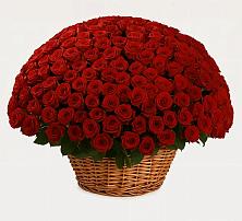 Премиум букет из: Розы в Шацке