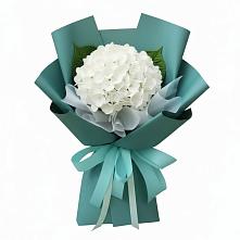 Букет цветов из:  Гортензия #REPLACE_PRED# Шацке